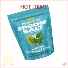 Pennington 397606 Epsom Salt Plant Nutrient, 7 lb