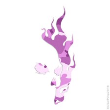 Skull Flames Vinyl Decal Sticker 40 Patterns 3 Sizes 637