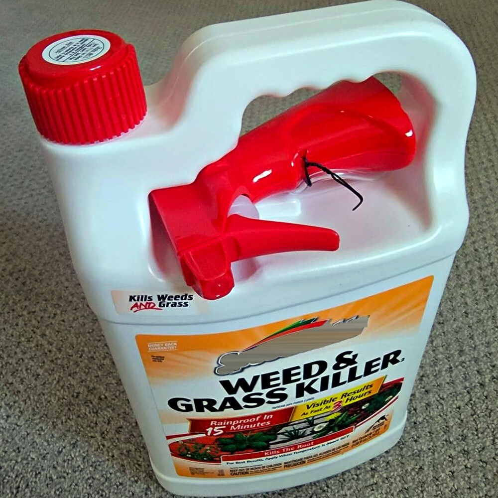 WEED GRASS KILLER FASTACTING RESULT 3 HOURS RAINPROOF DRIVEWAY PATIO 1 GALLON eBay