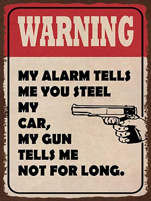 Holzschild 30x40 warning my alarm tells my car Wand Deko Cafe Sammler Geschenk