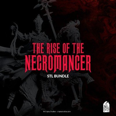 75mm Scale Rise of the Necromancer High Quality Unpainted Resin Garage Kit