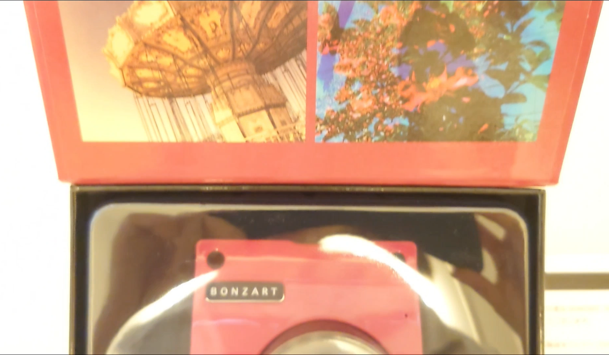 BONZART ZIEGEL Toy Camera Digital Camera Rose 18MP Fedex | eBay