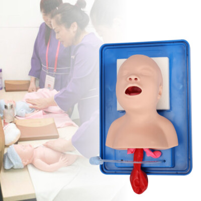 Intubation Manikin Baby Infant Teaching Lab Model Airway Management Trainer New
