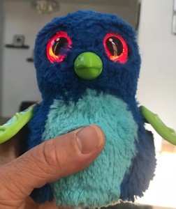 draggle hatchimal