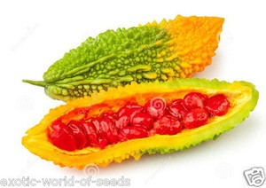 Momordica Bitter Gourd Squash Balsam Pear Indian Melon Seeds Antidiabetic Fruits Ebay
