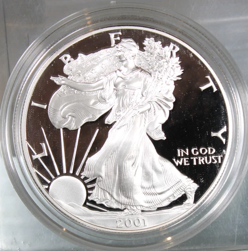 2001 W Proof American Silver Eagle !!