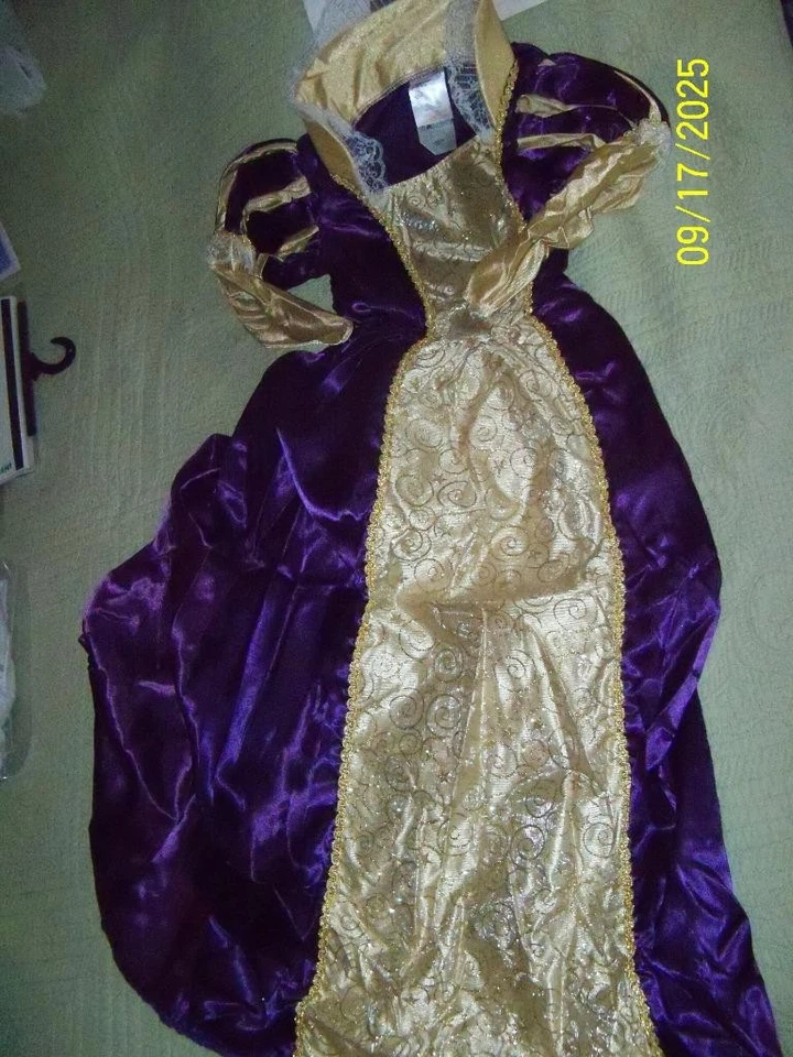 Niñas Princesa Índigo por Rubies Forum Real Púrpura y Dorado Niños Lg 12-14 Nueva IP Foto 3 de 4