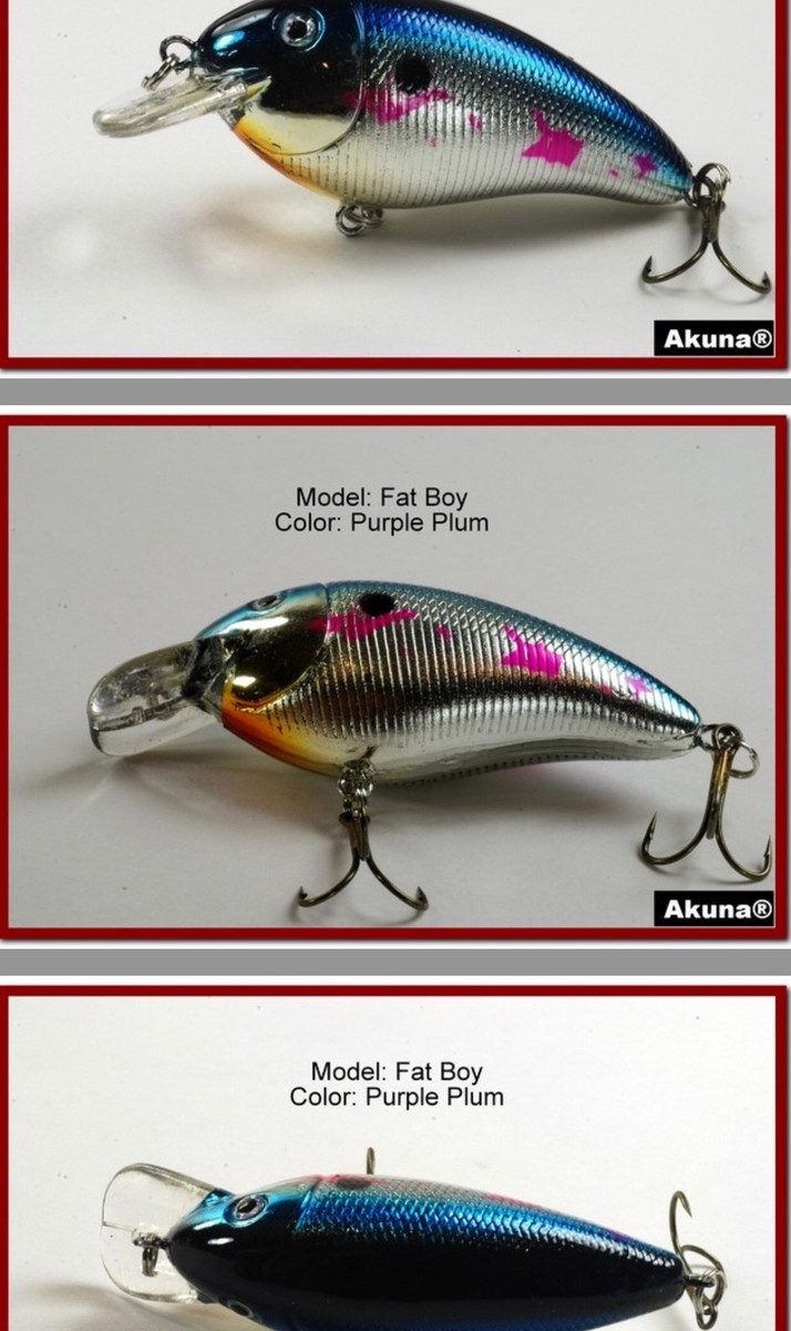 Akuna CrankBait Fishing Lure - 6 pack (3.2) | eBay Akuna CrankBait Fishing Lure - 6 pack (3.2) | eBay