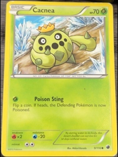 Pokémon TCG Cacnea Plasma Freeze 9/116 Regular Common