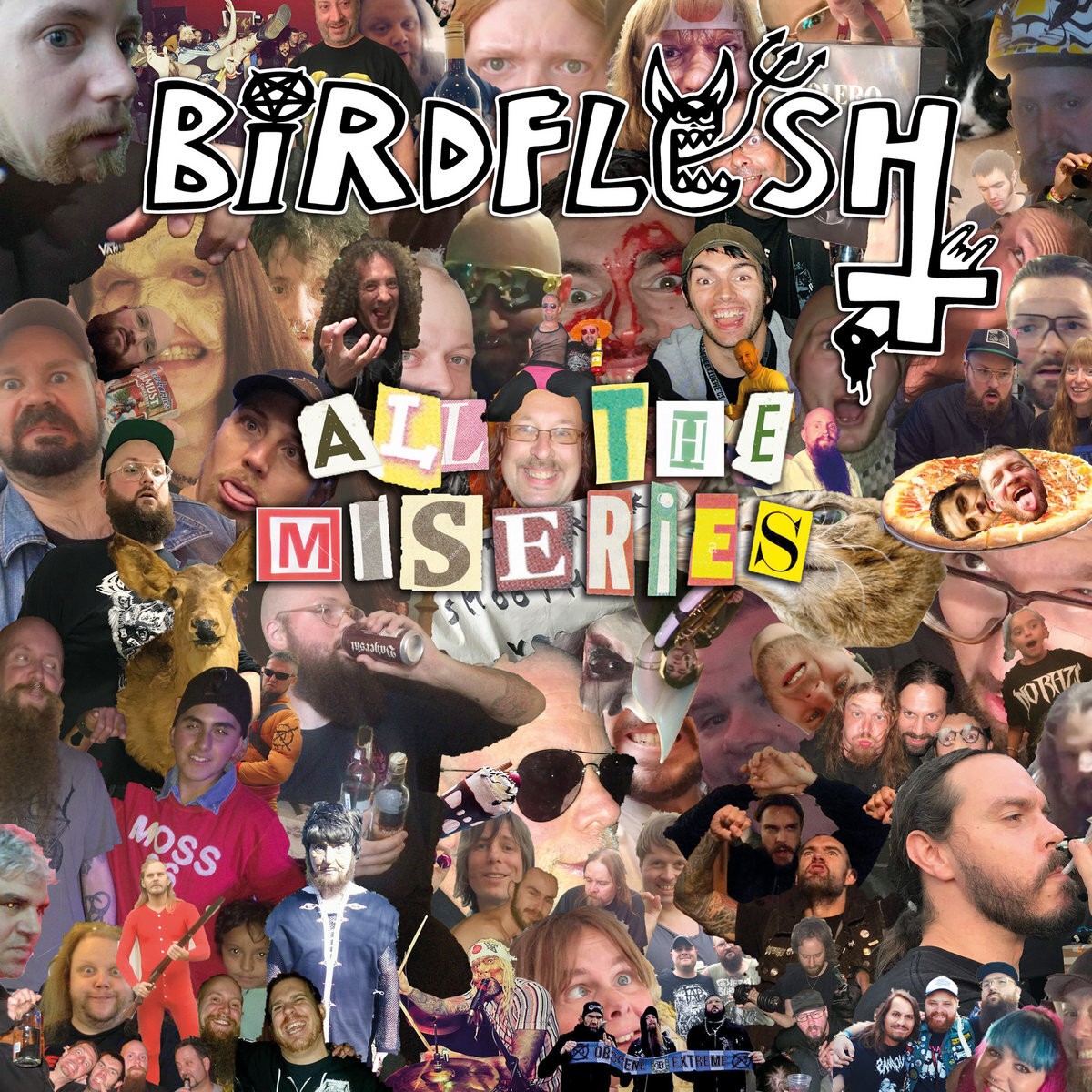Мини-альбом Birdflesh All the Miseries (CD)