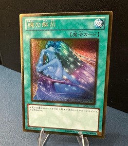 Soul Release | eBay