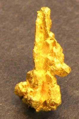 Gold specimen Crystallized Gold  0.34 Gram  Round Mtn. Mine  Nye Co. NV
