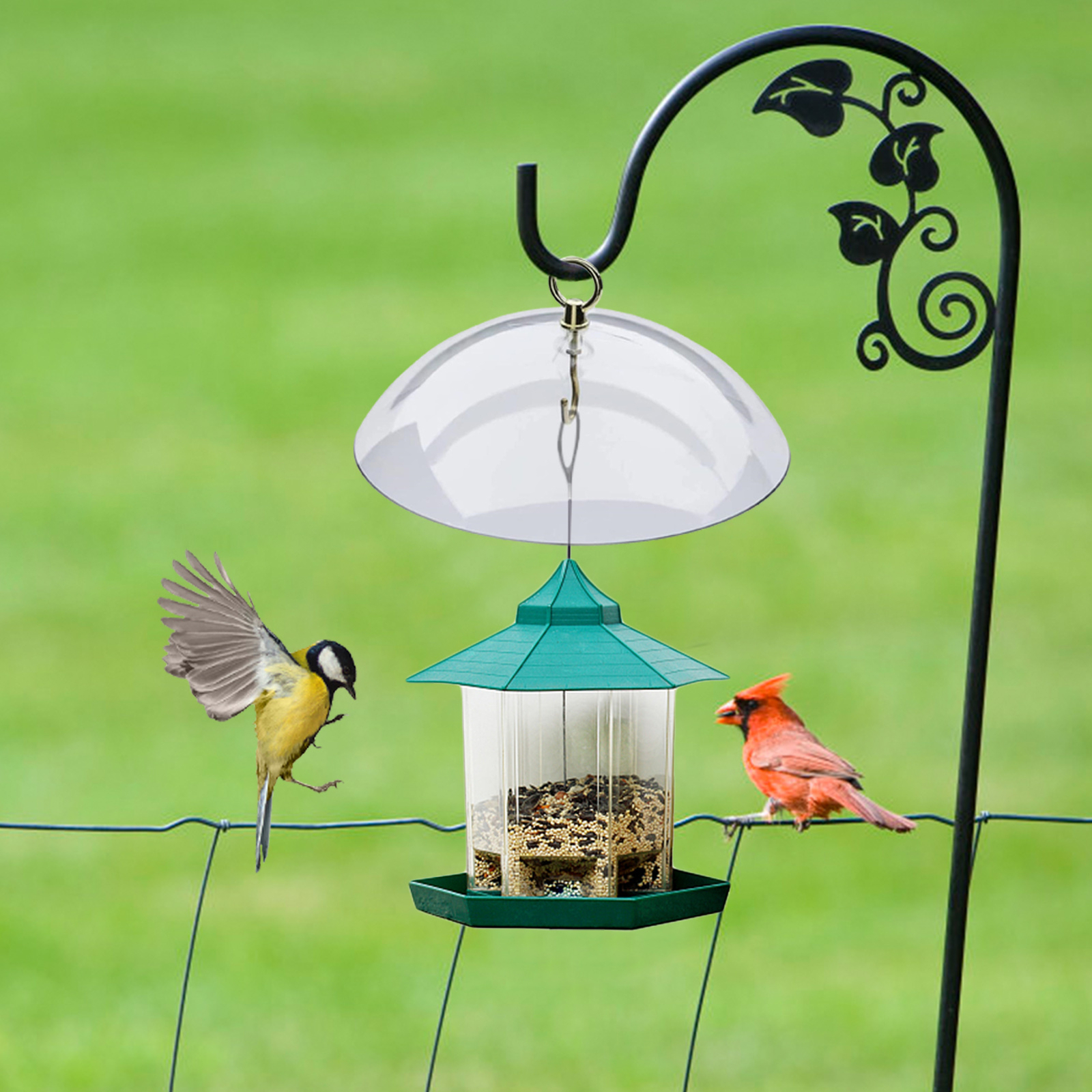 10" Clear Plastic Feeder Weather Guard and Squirrel Baffle for Wild Bird Feeders eBay