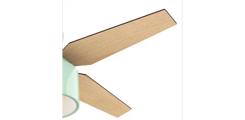 Hunter Fans - Cranbrook 52 Inch Low Profile Ceiling Fan with LED Light Kit and - Picture 3 of 4