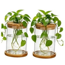 Glass Plant Propagation Stations, 2PCS