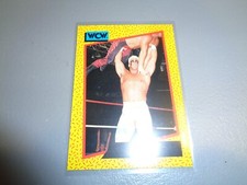 1991 WCW WORLD CHAMPIONSHIP WRESTLING STING TRADING CARD #9