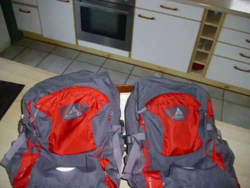 VAUDE 2 x Fahrradtaschen/Rucksäcke Cycle 25 Chester