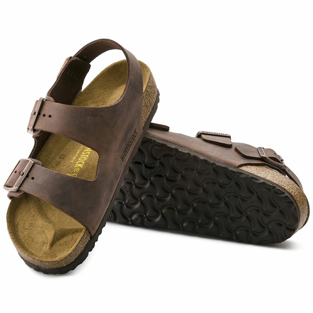 birkenstock milano habana