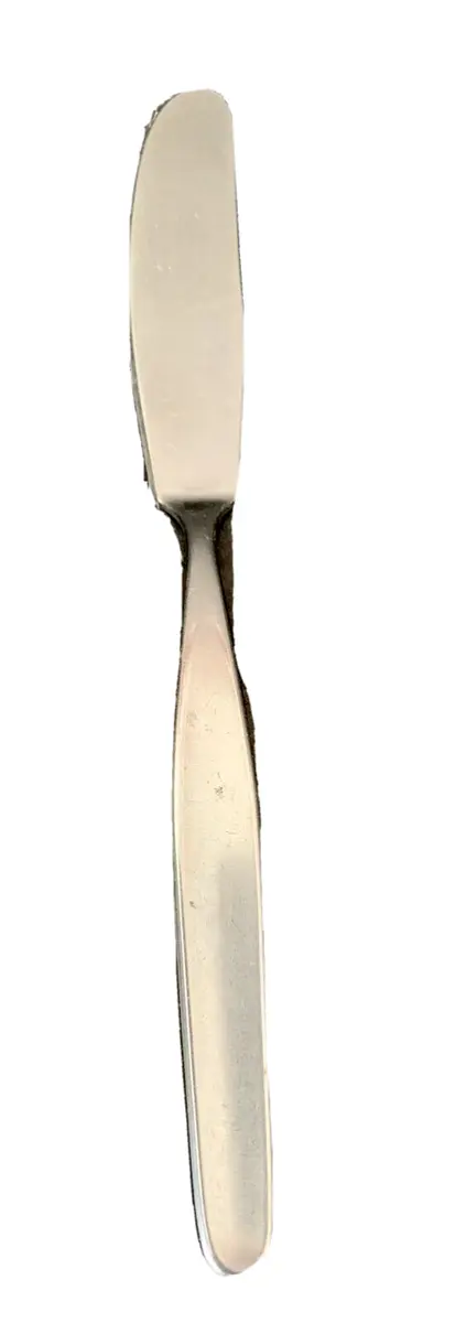 Royal Dutch Stainless Holland Butter Knife Spreader 7 inch Vintage