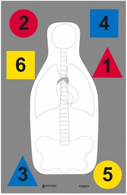 Action Target Multi-Purpose Anatomy & Command Training Target 23'' x 35'' 100 Pack