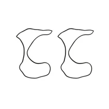 DFS5559 Brothers Trucks Door Weatherstrip Set - Clip-On - Pair