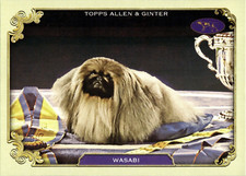 Wasabi - Stars Of The Show SOS-12 - TOPPS Allen & Ginter 2024