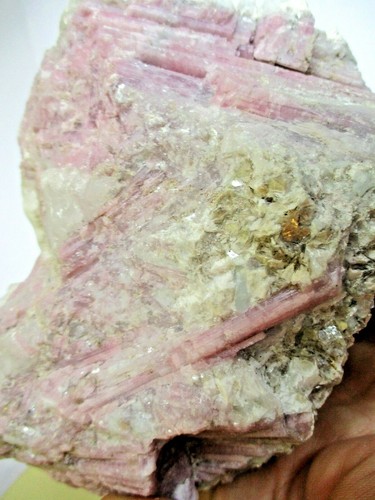 Rubellite Tourmaline in Quartz and Lepidolite Mica Huge 1.34Kg Nabibia - Picture 8 of 8