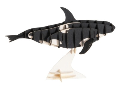 Orca 3D Cardboard Model Kit Fridolin New