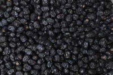 Al Madina Ajwa Dates Premium - 18KG 39LB Bulk Pack   Qty Discount Available