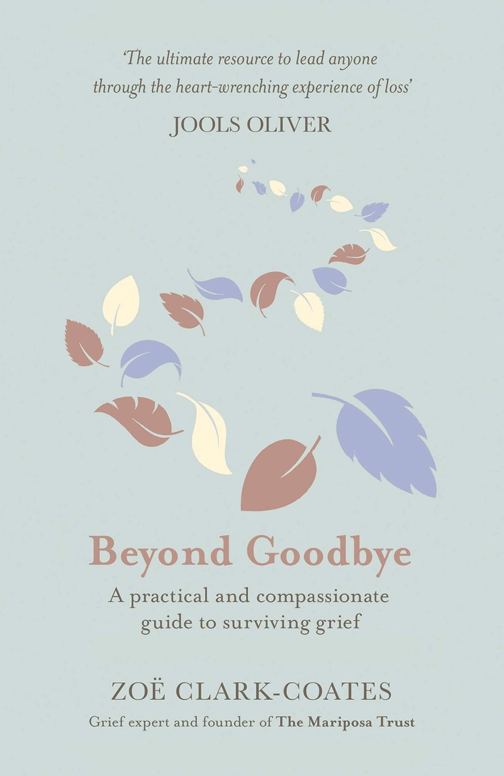 Beyond Goodbye: A practical and compassionate guide to surviving grief, with day