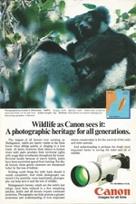 Canon “Wildlife As Canon Sees It” Lemurs - Vintage Magazine (Print Ad, 1985) F-1