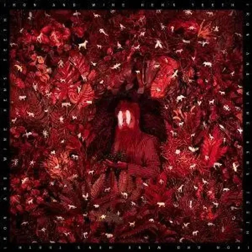 Hen's Teeth | Iron And Wine | Audio-Cd | Cd | 2026 | 375 Media Gmbh-image