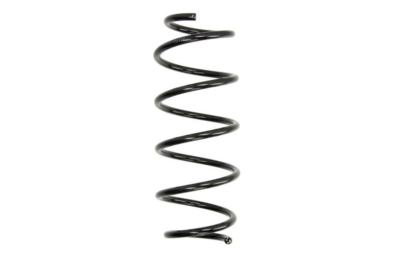 Magnum Technology SG193MT Fahrwerksfeder für Ford - Bild 4