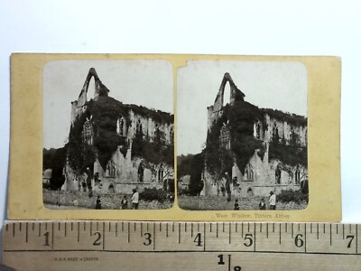Tintern Abbey Wales West Window Stereoview att. Francis Bedford c1860 Y19878