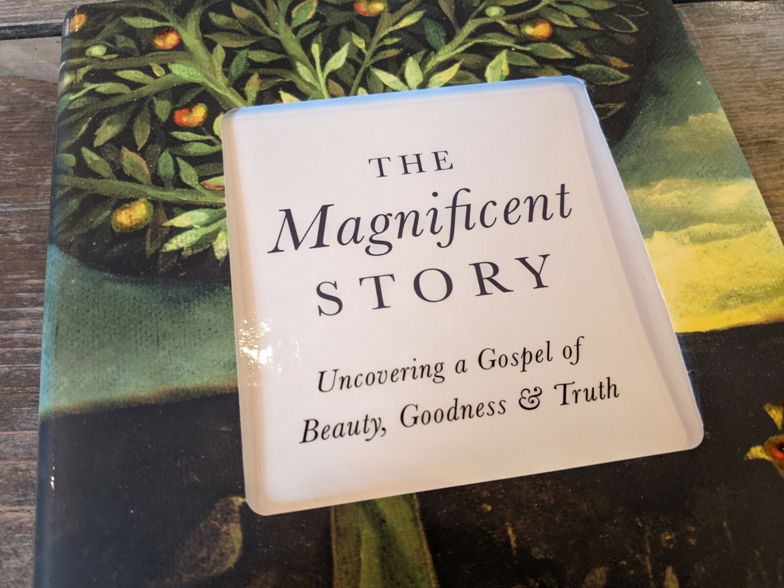 Magnificent Story Uncovering a Gospel of Beauty, Goodness & Truth by