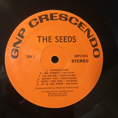 The Seeds - The Seeds LP ガレージパンク　US盤 THE SEEDS Raw & Alive In Concert At Merlin's Music Box LP - 1968