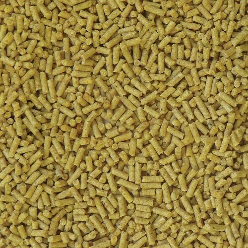 LAFEBER GOURMET PELLETS TROPICAL FRUIT BUDGIE, LOVEBIRD FOOD 567G
