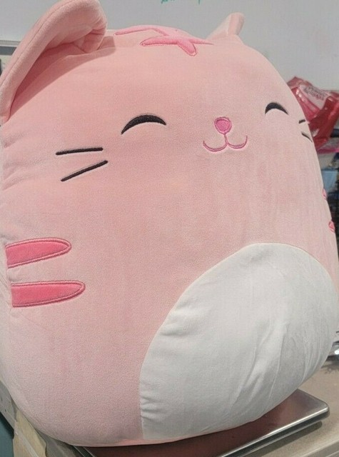 tabby cat squishmallow name