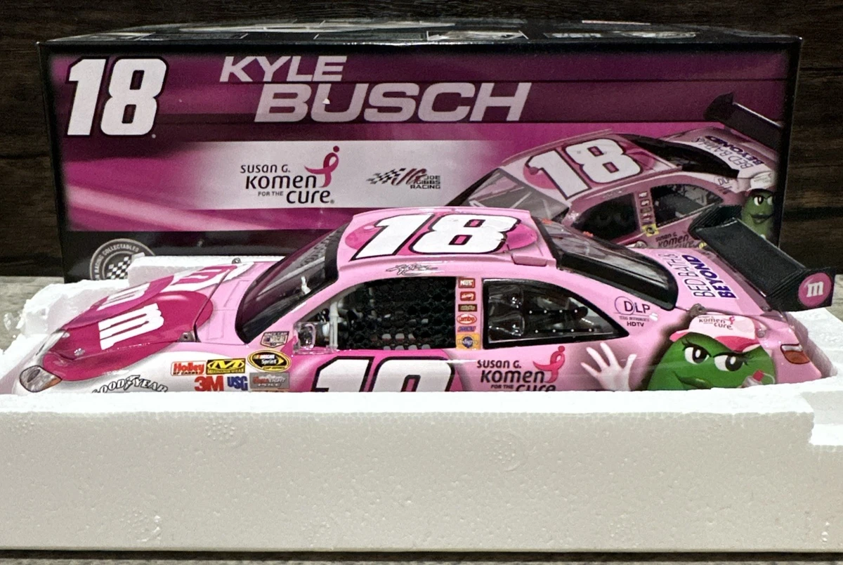 Preços baixos em Kyle Busch NASCAR Diecast Carros de Corrida 2008
