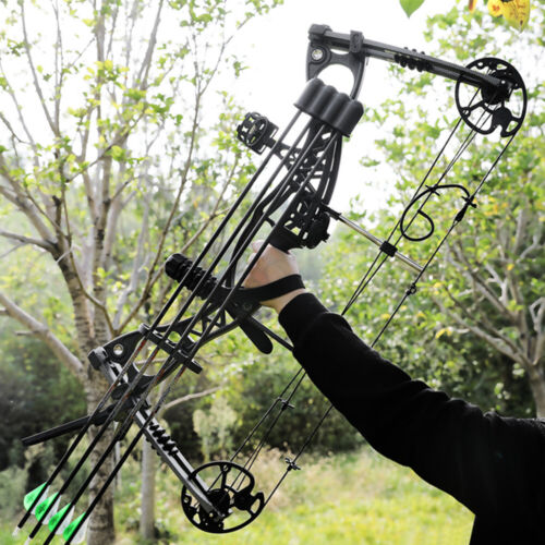 Compound Bow Arrow Set 0-70lb Adjustable Archery Bow Hunting Shoot 320fps RH LH - Picture 2 of 24