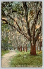 Jacksonville FL Postcard Ortega Park Spanish ...
