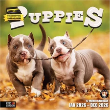 Puppies 2026 Wall Calendar 12 Month | 12" X 24" Open | Thick & Sturdy Paper | Ho