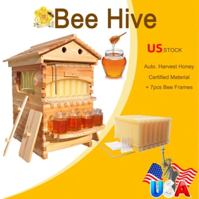 Golden Palace Auto 7PCS Beehive Honey Hive Frame +Cedarwood Beekeeping Brood Box