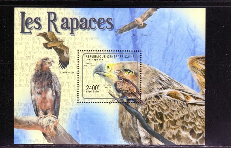 CENTRAL AFRICAN REPUBLIC #1558 2011 BIRDS OF PREY MINT VF NH O.G S/S