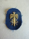 INDO ALGERIA PPAT BADGE FEMALE PERSONNEL AVIATION STAFF kepi helmet
