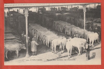 CPA - LYON - GESCHIRR - 69 - VIEHMARSCH - ÜBERSICHT