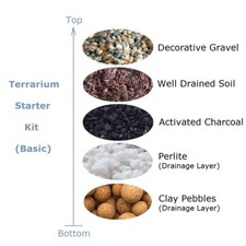 DIY Large Terrarium Basic Starter Kit with Gravel Soil Charcoal Perlite Pebbles