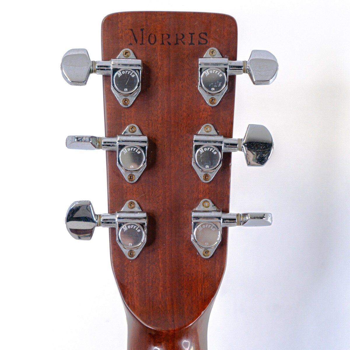 1975 Morris W-30 Square Shouldered Dreadnought Acoustic 1975 Morris W-30 Square Shouldered Dreadnought Acoustic