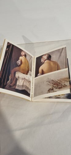 Ingres A Dolphin Art Book 80 colour plates 1971 Vintage Edition Thames Hudson VG - Picture 3 of 5