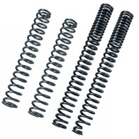 Bitubo KIT Mfork Gabelfedern Z650 ER650H